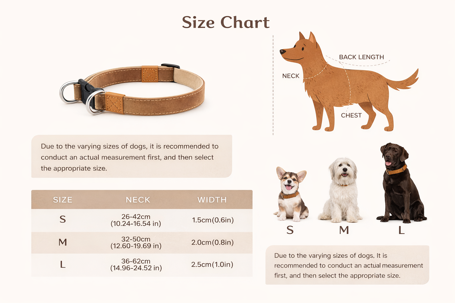 Dog collar size chart with measurements and illustrations of dogs.